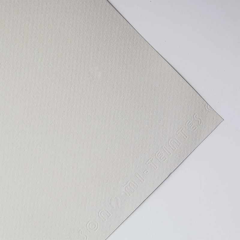 Canson Mi-Teintes pasteļu papīra albums 160g/m2 Balts