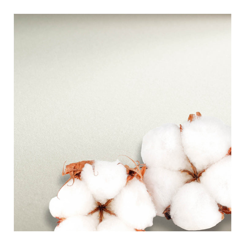 Hahnemuhle auksti presēta akvareļu papīra albums 640 g/m2, 100% kokvilna