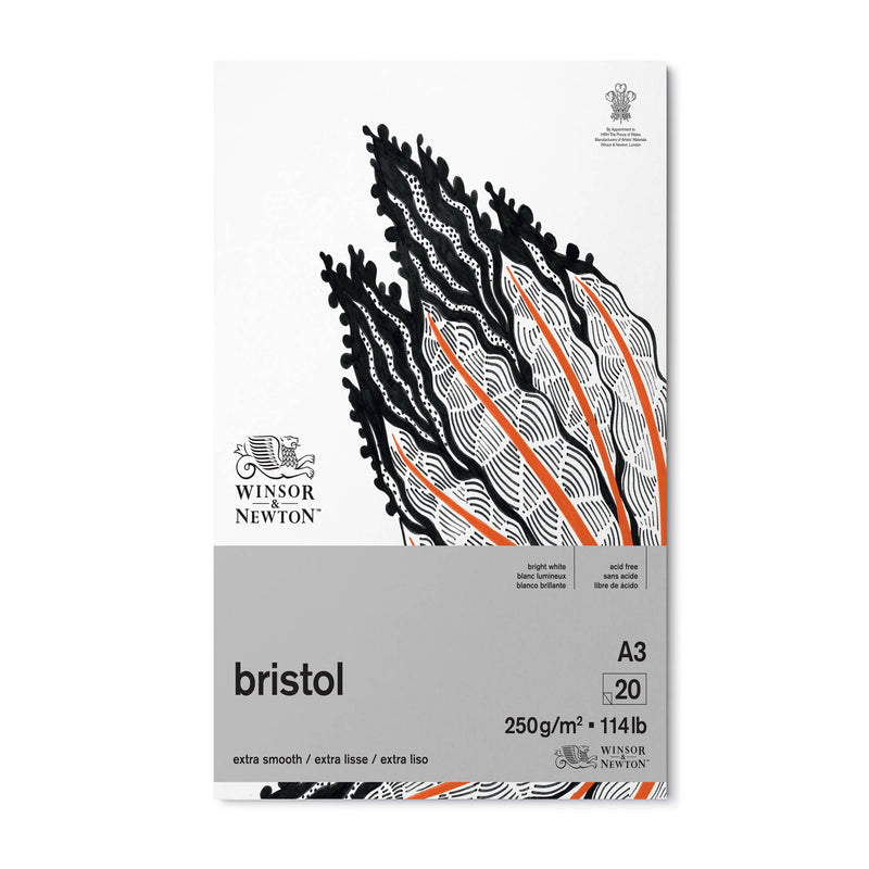 Winsor & Newton Bristol skicēšanas, rasēšanas albums 250g/m2